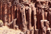 Close up photo of a Basalt Column