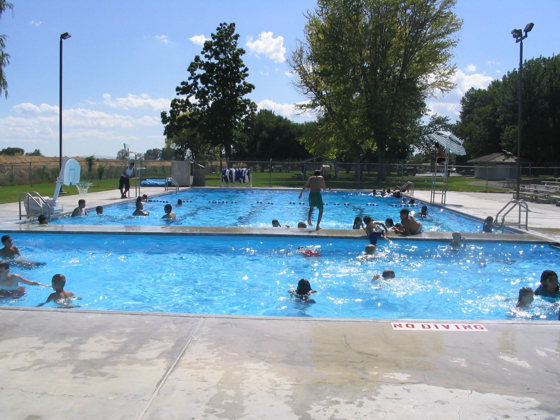 Many people playing in the pool