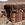 View of the side of one of the Basalt Columns