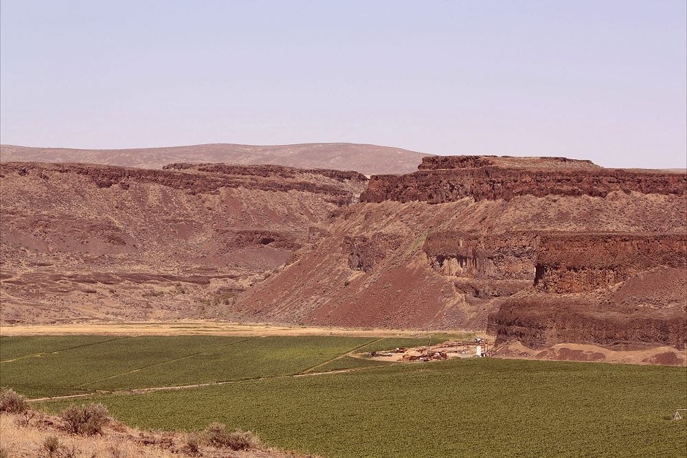 Green field by the Basalt Columns
