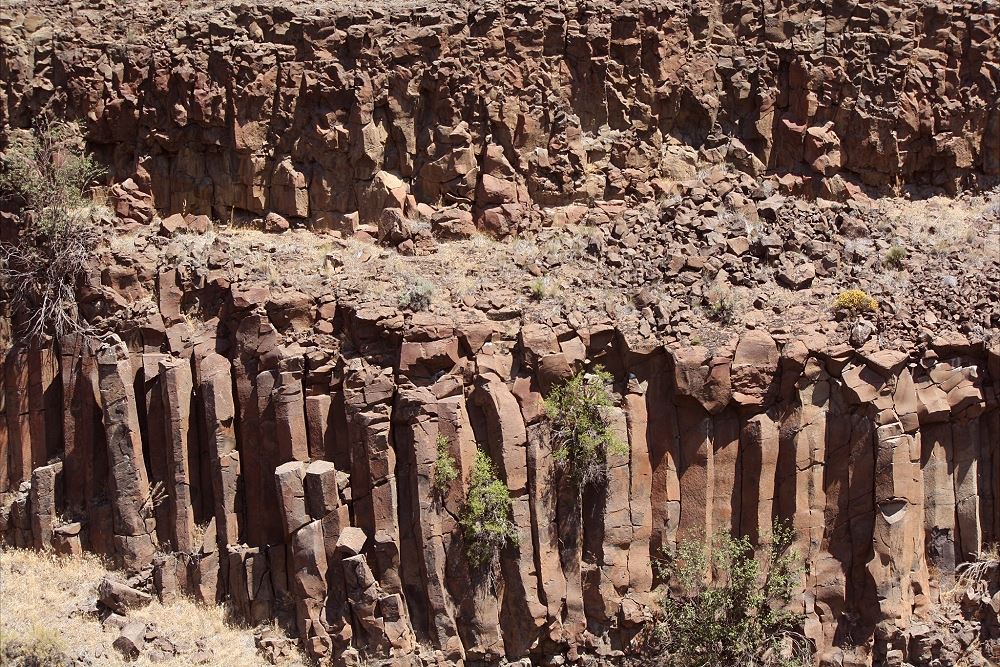 Basalt Column with small trees growing on it