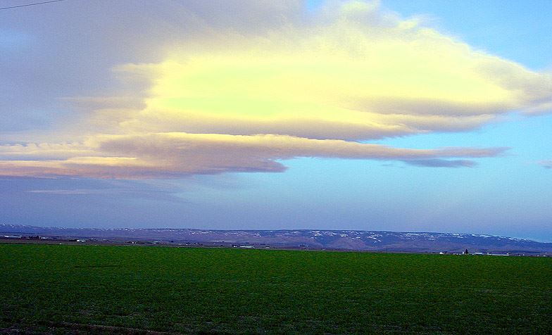 Fields with bright white clouds