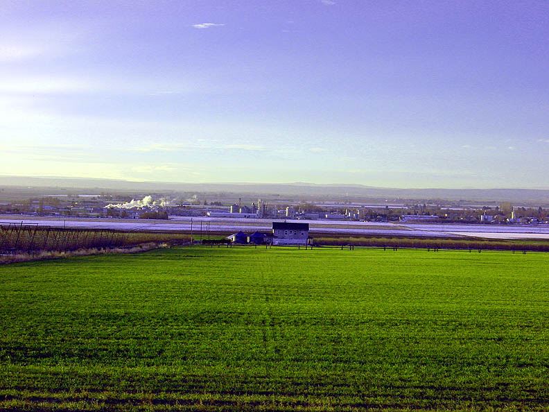 Aerial view of farm fields