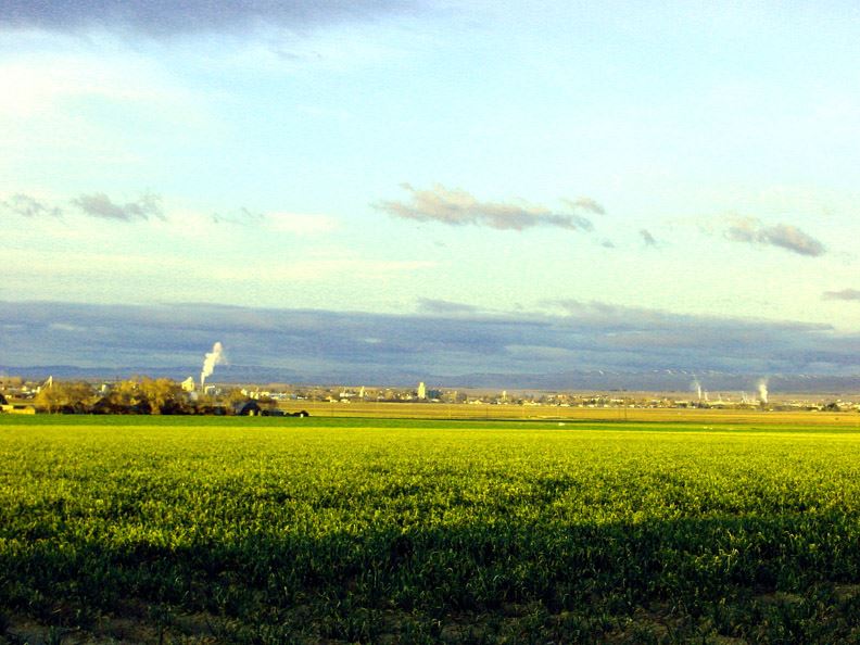 Farm field on a sunny day